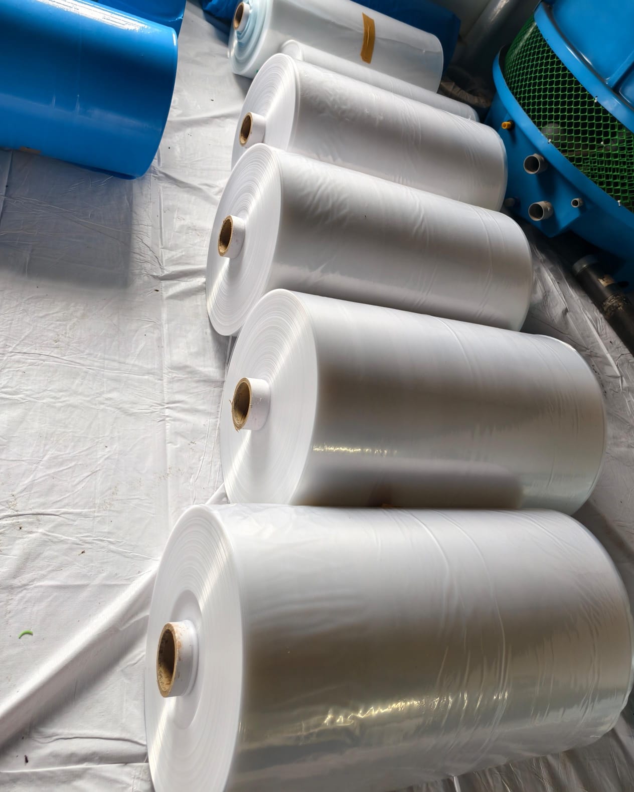 LDPE Rolls - Image 2